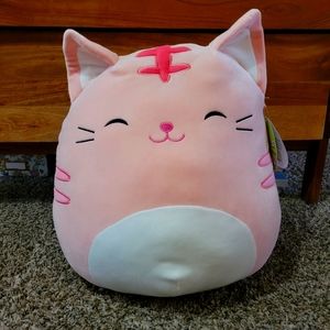 Squishmallow Cat "Paulita"